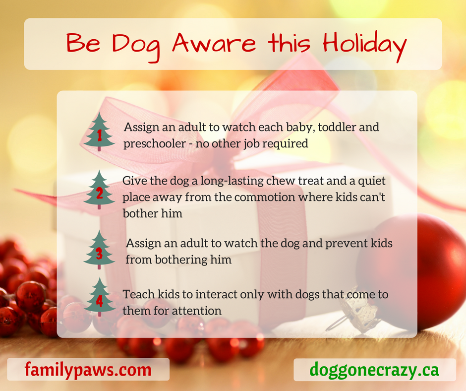 Holiday Dog Aware Tips