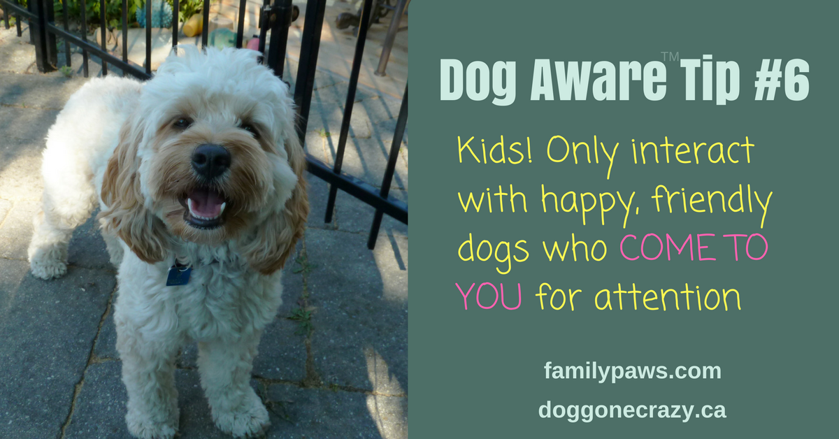 Dog Aware Tip #6: Interact Only with Happy Dogs Who Come to You