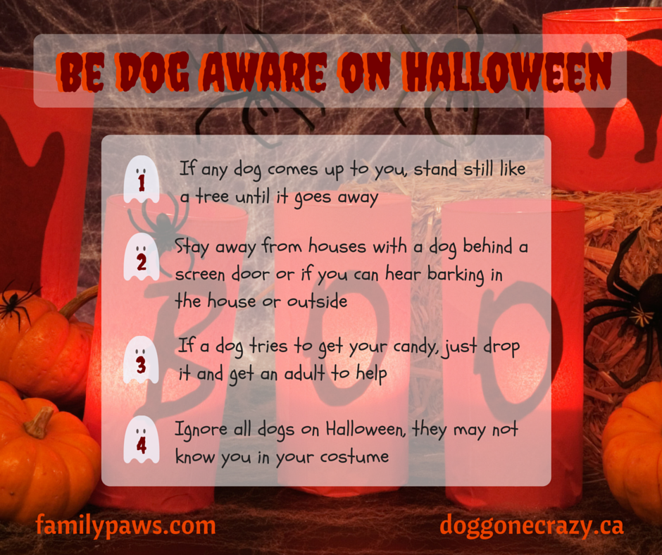 Be Dog Aware this Halloween